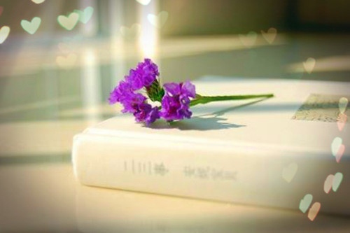 描写紫藤萝花优美的句子